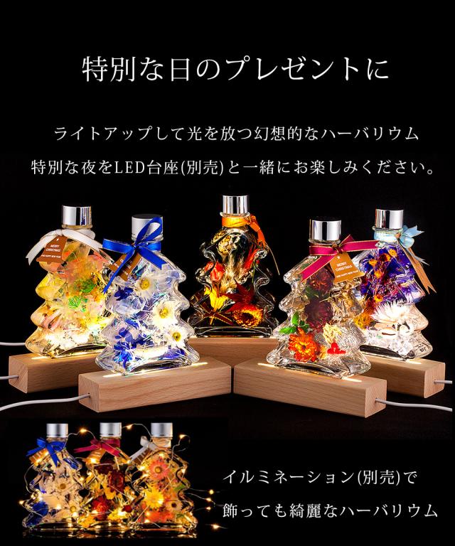 クリスマスツリーハーバリウム