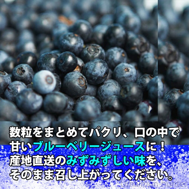 Web限定 堀うち農園 冷凍ブルーベリー100g 10p 無農薬栽培 安心 安全 条件付き送料無料 値下げ Ggjapan Jp