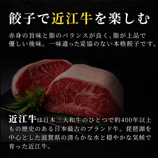 甘みと旨味の鹿児島黒豚100%使用 生姜が香る大人の贅沢餃子
