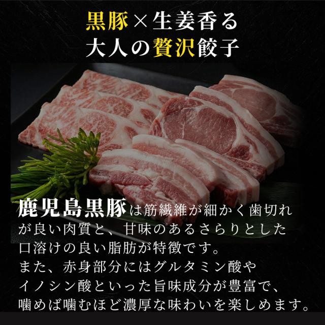 甘みと旨味の鹿児島黒豚100%使用 生姜が香る大人の贅沢餃子