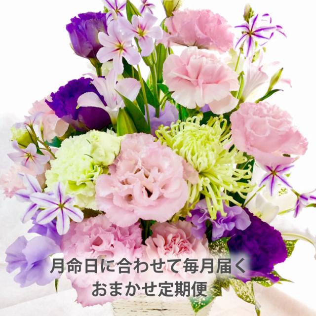 花の定期便 月命日 通販 花束 ギフト アレンジメント 生花 お悔やみ ほしコース12ヶ月 毎月お届け お供え 命日 Gordonterrace Ca