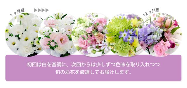 花の定期便 月命日 通販 花束 ギフト アレンジメント 生花 お悔やみ ほしコース12ヶ月 毎月お届け お供え 命日 Gordonterrace Ca