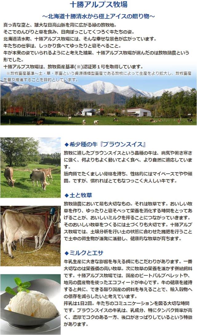 プレミアムアイス