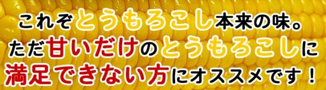 ゆでとうもろこし