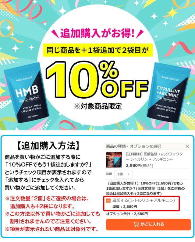 有料追加オプション