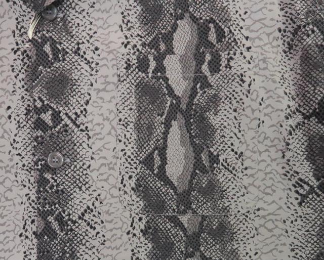 STAR OF HOLLYWOOD スターオブハリウッド 半袖 レーヨン オープンカラーシャツ SNAKE SH39314