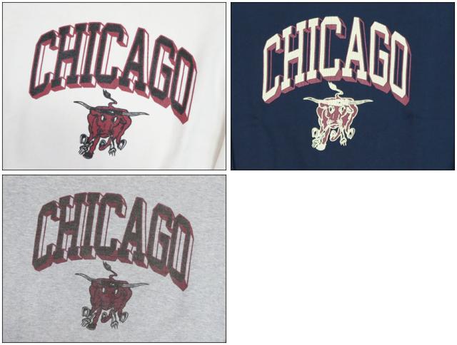 バーンズ BARNS フラットシーマー クルーネック スウェット COZUN PT