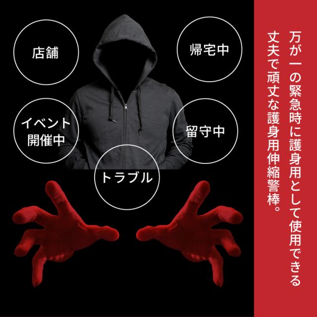 製品画像1