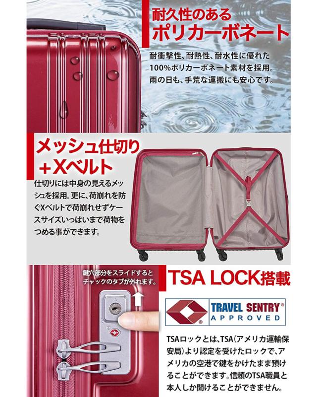 在庫限り P10倍 送料無料 Siiin Light シーンプラスライト S19 A 303 軽量キャリーケース 1 9kg 約32l ストーンインターナショナル 4色 Www Centrodeladultomayor Com Uy
