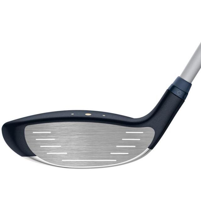 フェース・ラップ・テクノロジー