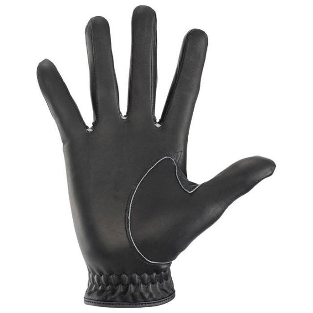 Kasco GOLF シルキーフィット 右手用 ゴルフグローブ view2