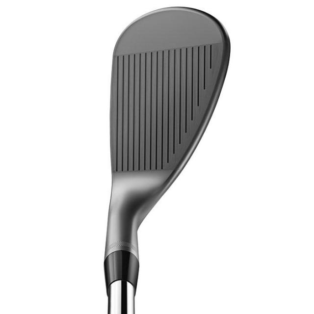 SM10ウェッジ ニッケル ヘッド画像1