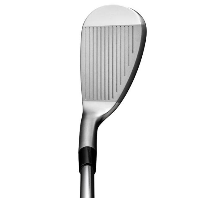 ミズノ　JPX 925 HOT L ホットメタル アイアン　単品　N.S.PRO MODUS3 TOUR 105 スチールシャフト [2024年モデル]