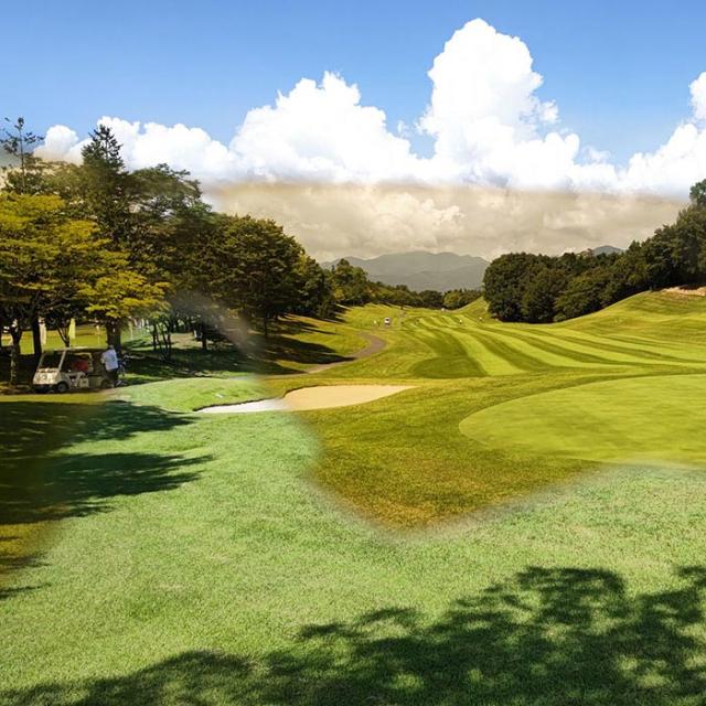 ESS GOLF Crossblade NARO Cerakote サングラス view3