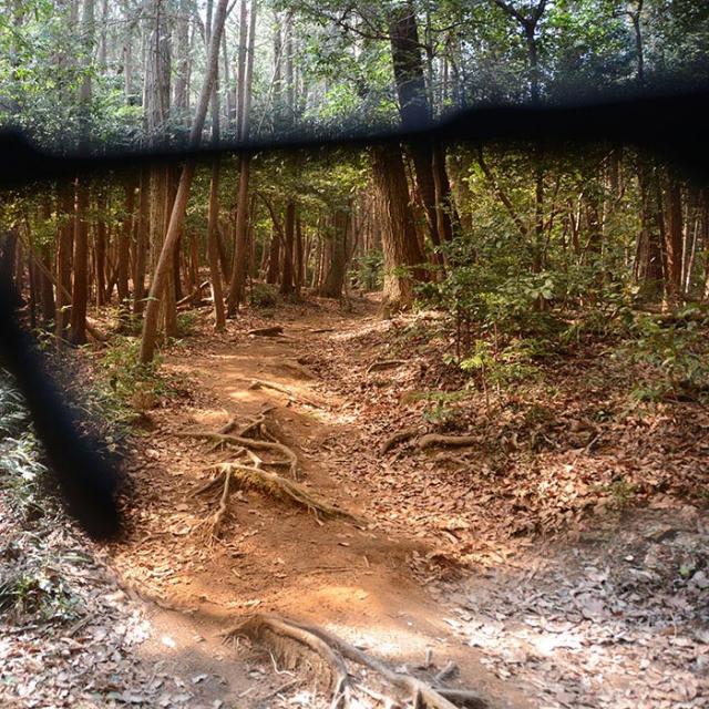 ESS GOLF Crossblade NARO Cerakote サングラス view4