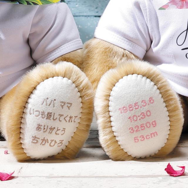 超目玉 期間限定 体重ベア キャメリーハワイ 1体 ウェイトベア 足裏メッセージ 赤ちゃん ウェイトドール テディベア 名前 名入り 名入れ プレゼント 誕 早割クーポン Diquinsa Com Mx