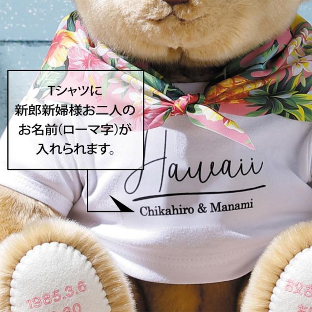 超目玉 期間限定 体重ベア キャメリーハワイ 1体 ウェイトベア 足裏メッセージ 赤ちゃん ウェイトドール テディベア 名前 名入り 名入れ プレゼント 誕 早割クーポン Diquinsa Com Mx