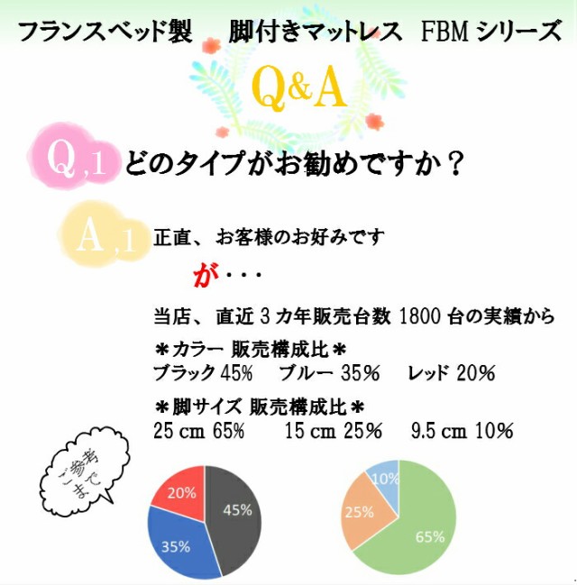 大きな取引 即納 在庫有 フランスベッド 脚付きマットレス ＦＢＭ−８０１ＤＸ専用脚 脚のみ 送料無料 高さ３タイプ 25cm 15cm 9.5cm 