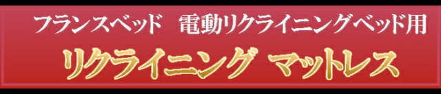 得価最安値 開梱設置無料 ブレスエアー 非課税対象商品 シングル シの通販はau PAY マーケット - isサポート|商品ロットナンバ フランスベッド レステックス-02FN 3M 昇降機能電動ベッド マット付 RH-BAE-RX 爆買い得価