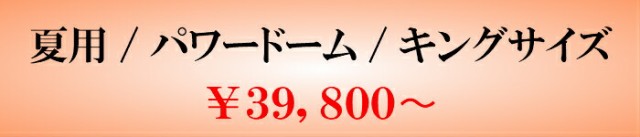 ックダウン 送料無料 ホワイトダックダウン90% 高衛生羽毛 制菌加工(の通販はau PAY マーケット - isサポート|商品ロット フランスベッド 羽毛布団 オールシーズンタイプ AS-90NJ クィーン ルト・