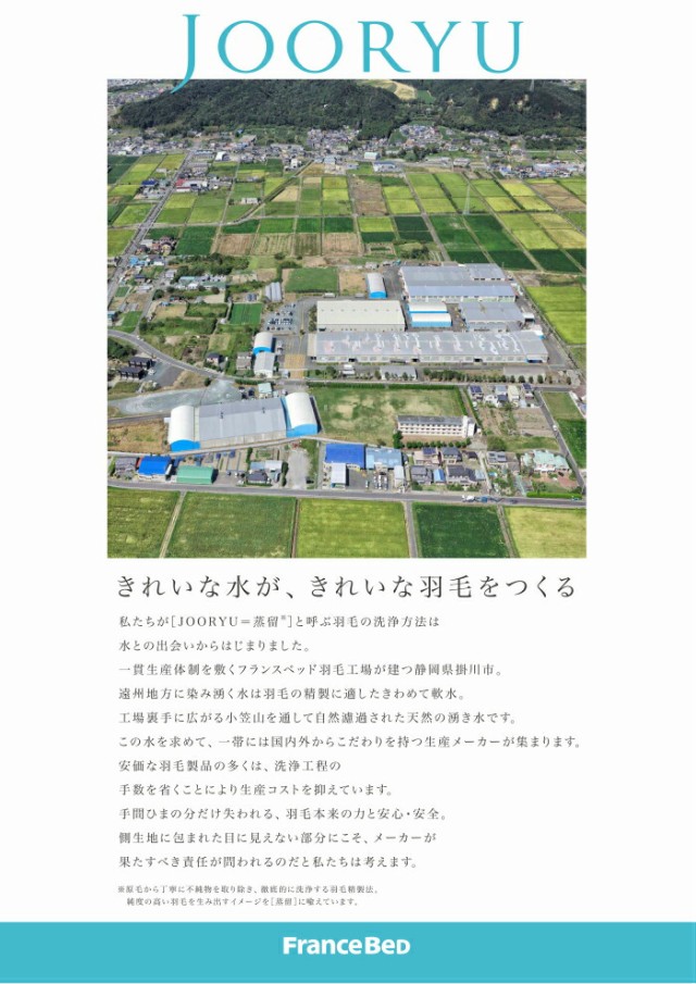 ックダウン 送料無料 ホワイトダックダウン90% 高衛生羽毛 制菌加工(の通販はau PAY マーケット - isサポート|商品ロット フランスベッド 羽毛布団 オールシーズンタイプ AS-90NJ クィーン ルト・