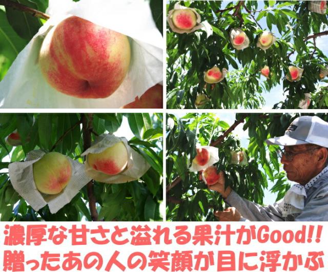 和歌山あらかわの桃ベネ3