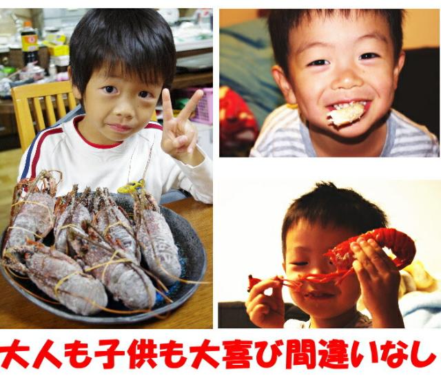 訳アリ伊勢海老ベネ５