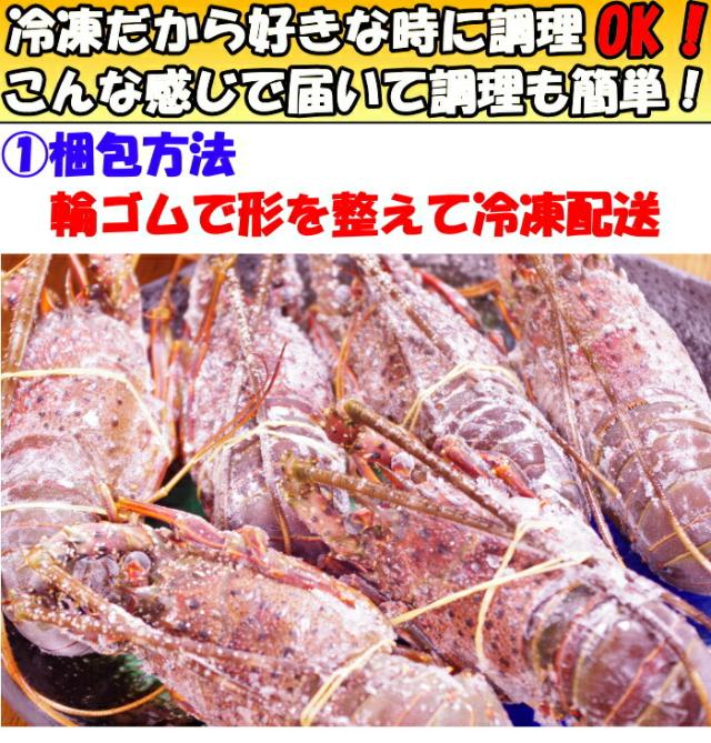 冷凍伊勢海老調理