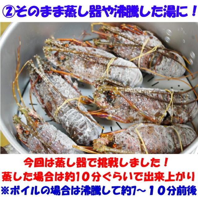 冷凍伊勢海老調理２