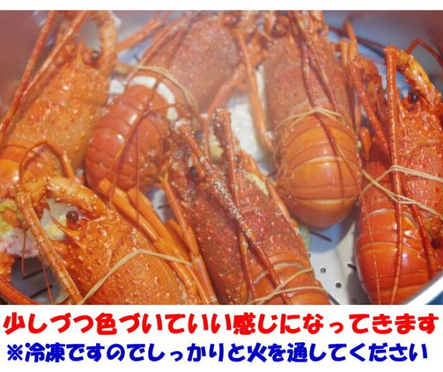 訳アリ伊勢海老料理3