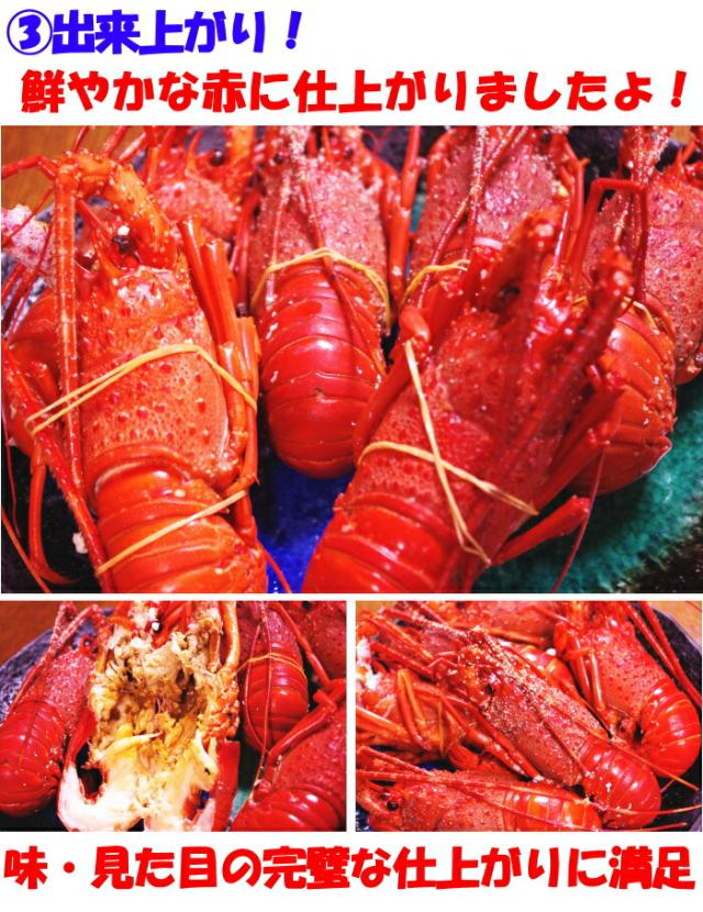 訳アリ伊勢料理４