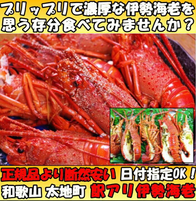 訳アリ伊勢海老ファースト