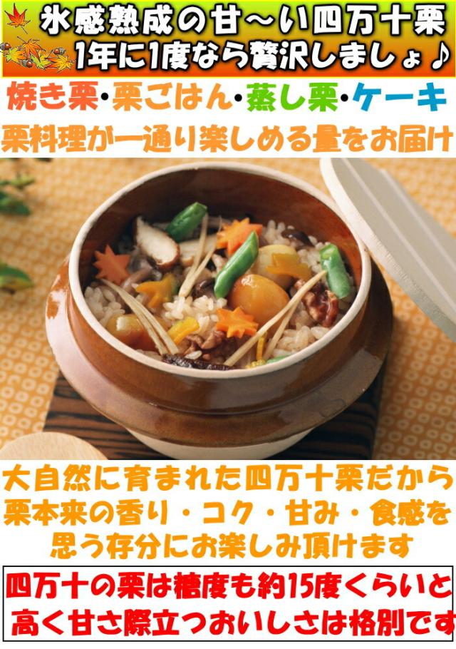 氷感熟成栗ベネ1