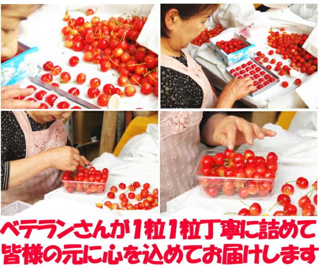 山形露地さくらんぼベネ5