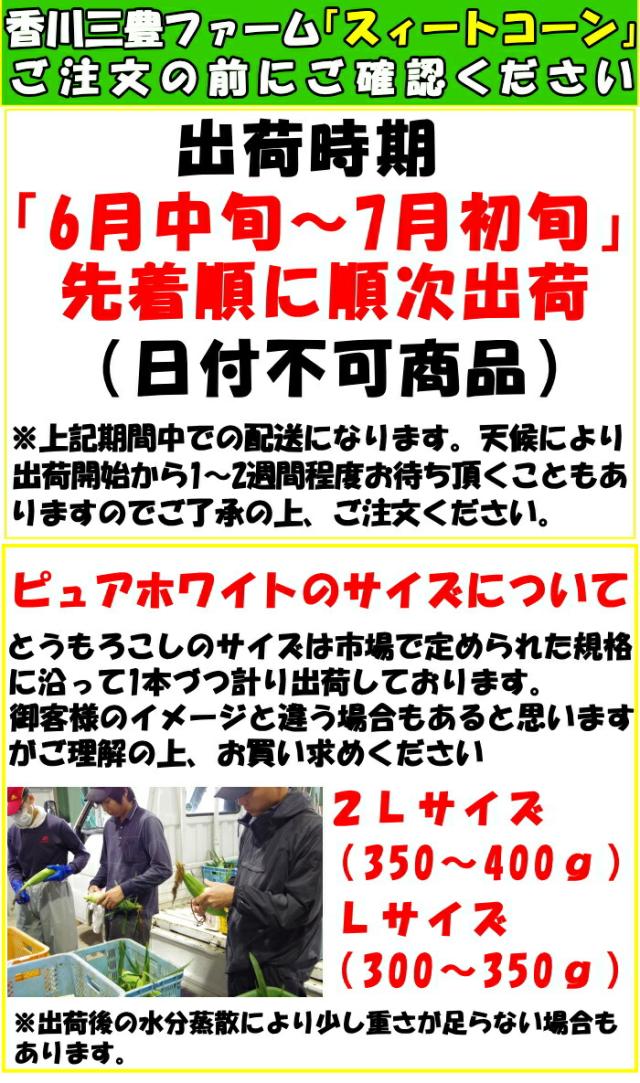 とうもろこし注文前に!