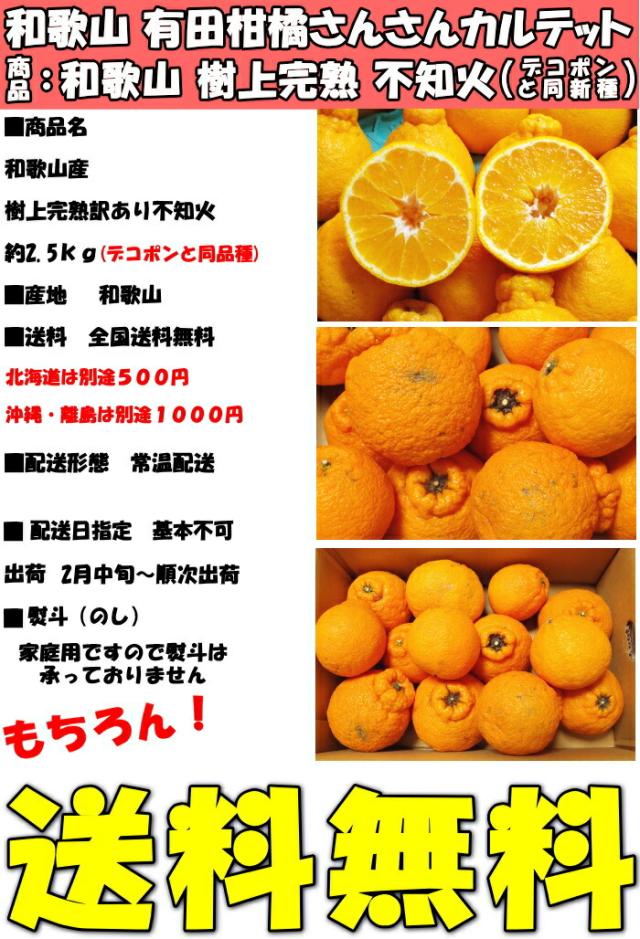 和歌山樹上完熟デコポンスペック