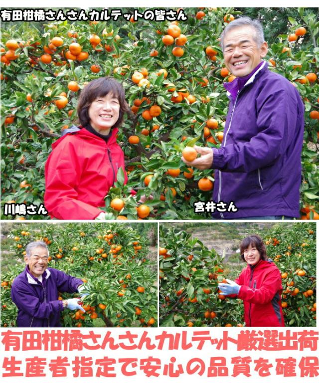 和歌山有田清見オレンジベネ3