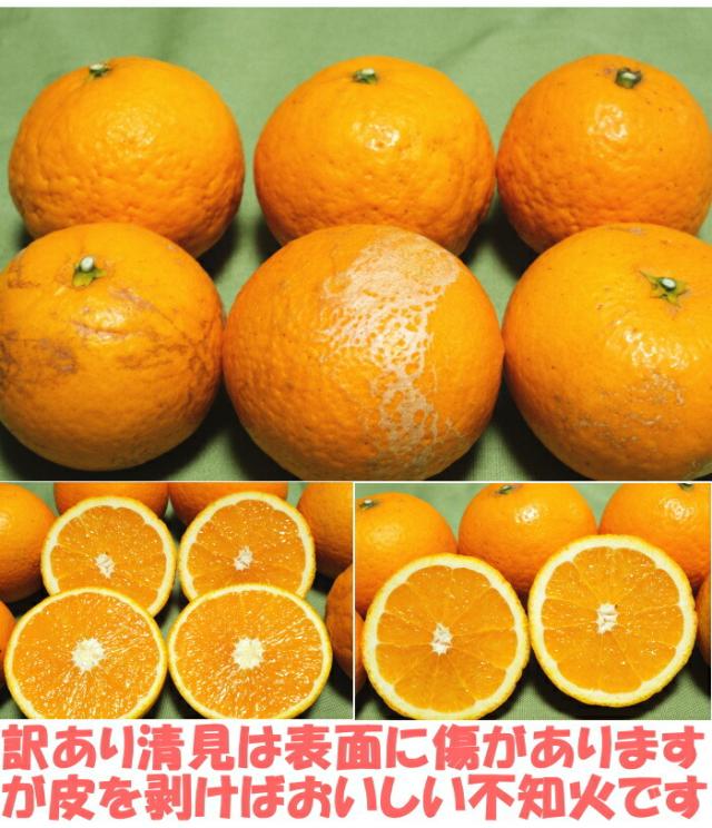 和歌山有田清見オレンジベネ5