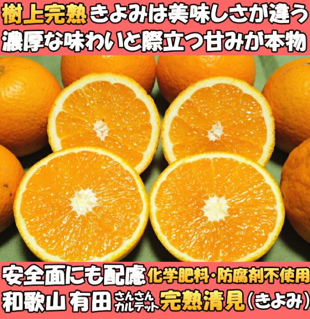 和歌山有田清見オレンジファースト