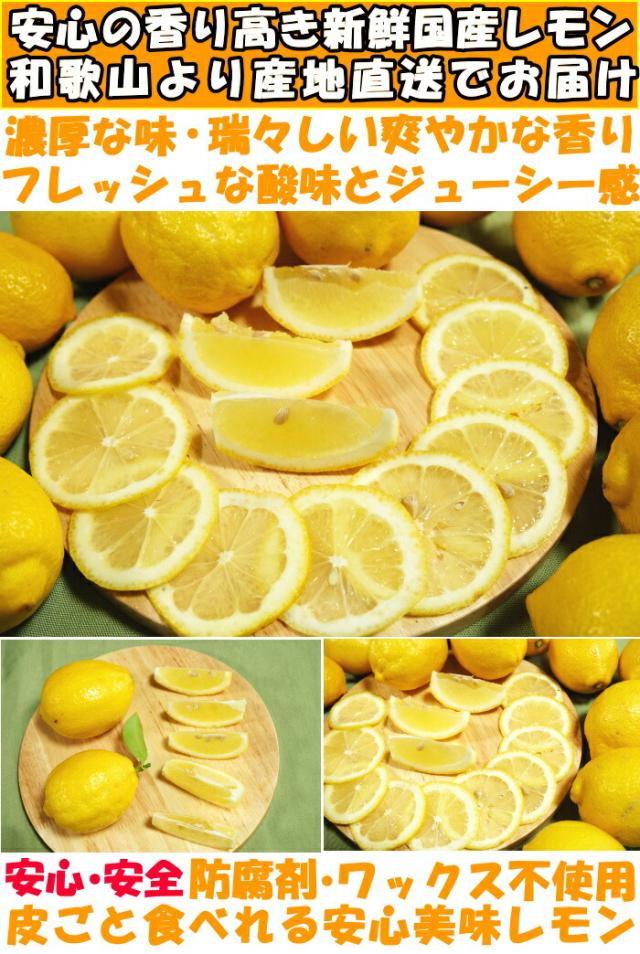 和歌山有田レモンベネ1