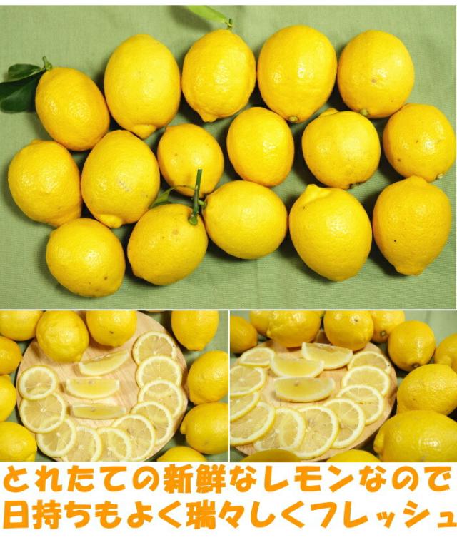 和歌山有田レモンベネ2