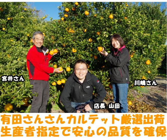 和歌山有田レモンベネ3