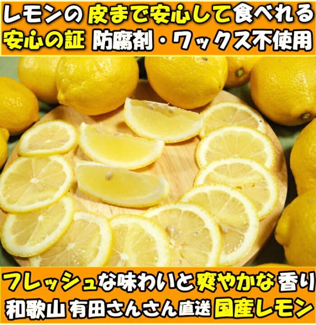 和歌山有田さんさんレモンファースト