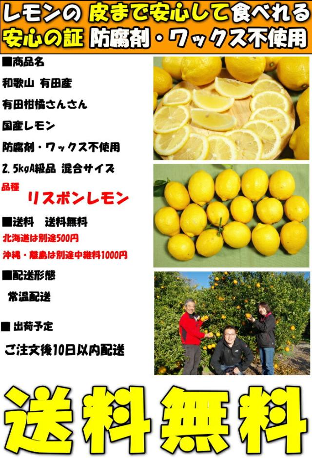 和歌山さんさんレモンスペック