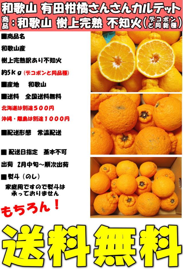 和歌山樹上完熟不知火スペック