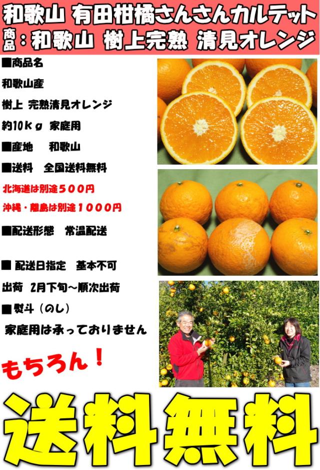 和歌山清見オレンジスペック