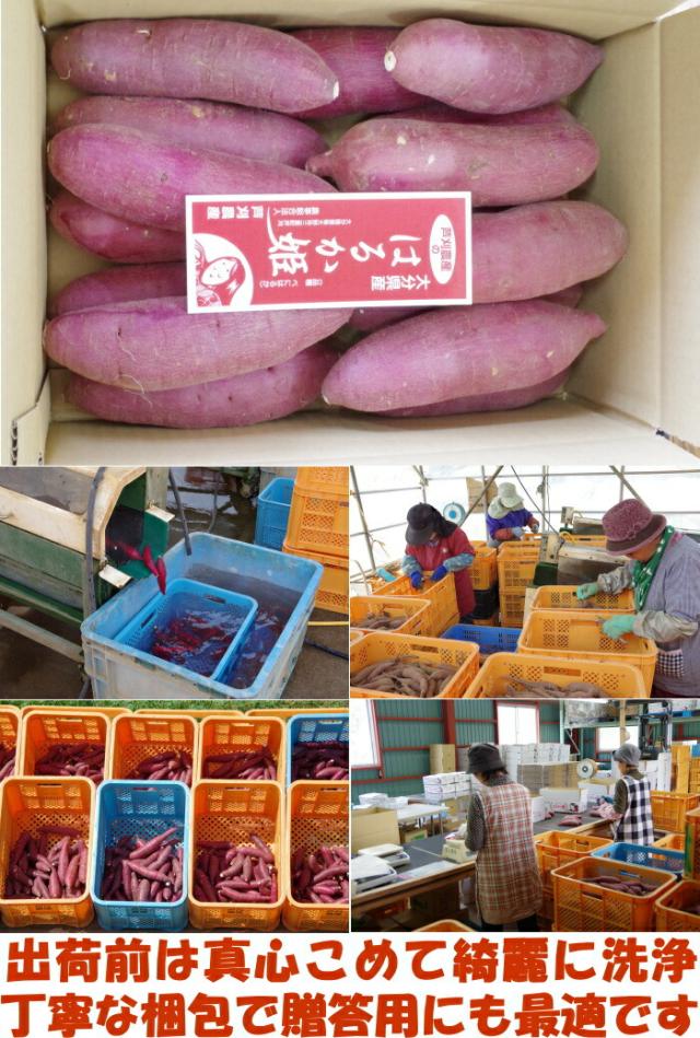 大分芦刈農産紅はるかベネ4