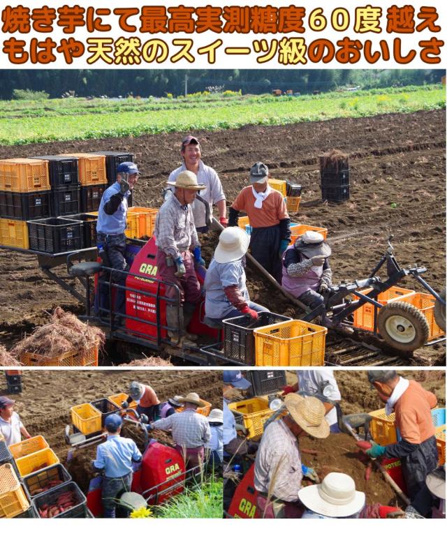 大分芦刈紅はるかベネ2