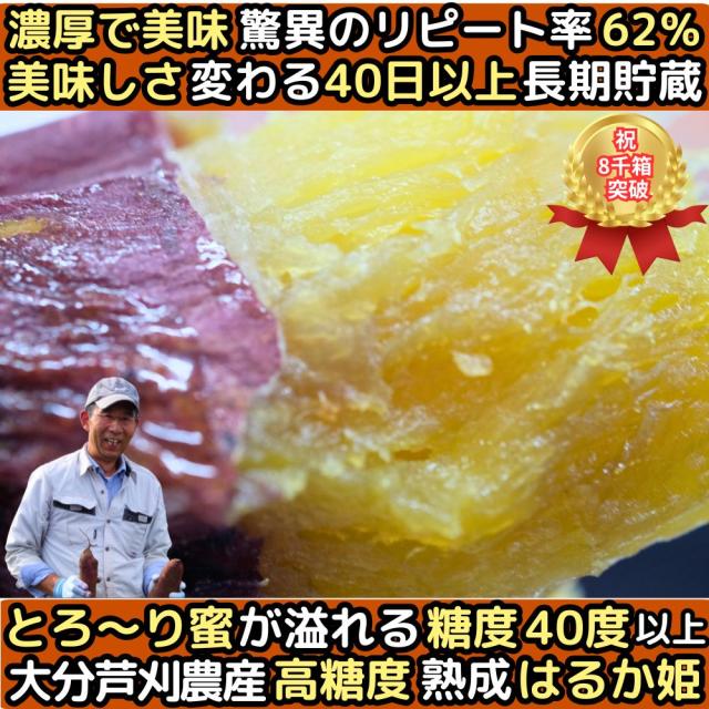 大分芦刈農産はるか姫ファースト