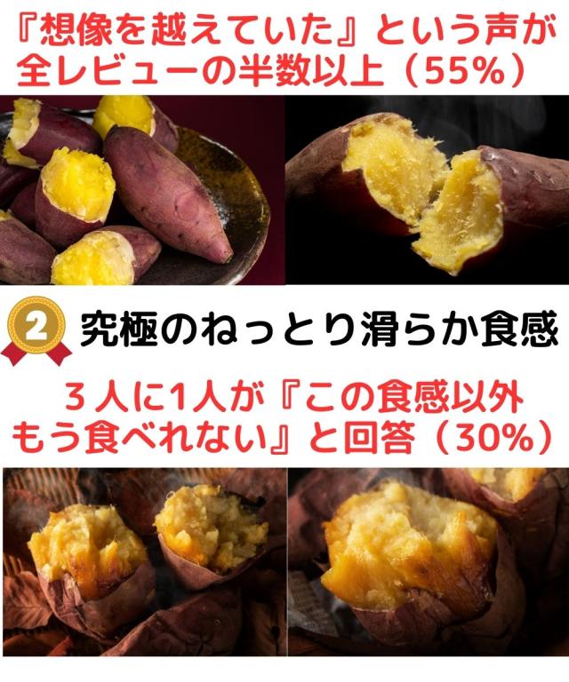 大分芦刈紅はるかレビュー2